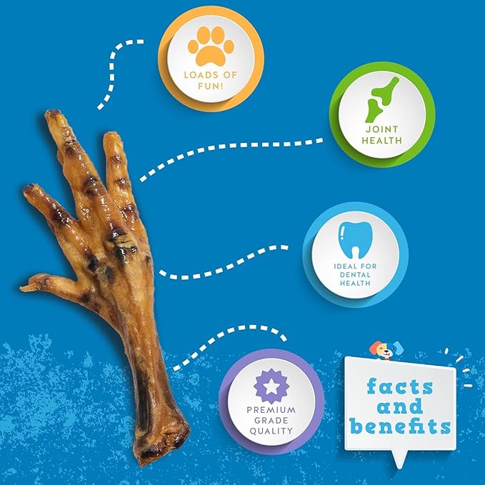 Jack&Pup Dried Chicken Feet Dog Treats | 100% Natural, Fully Digestible, Dehydrated Chicken Feet for Dogs High Protein, Joint Support (75 Pack) Economical Alternative to Duck Foot and Pig Ears