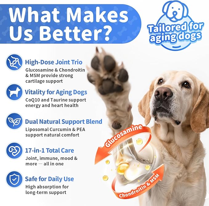 Senior Advanced Joint Supplement for Dogs – 17-in-1 Glucosamine for Dogs with Chondroitin – Hip & Joint Pain Relief Pills – Mobility Support Chews – Large & Small Breeds - Beef Flavor – 90Ct