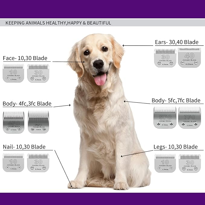 10 Pack Detachable Pet Dog Grooming Clipper Ceramic Blade Sets,Compatible with Andis Size 10 Cut Length 1/16"(1.5mm),Compatible with andis/Oster A5/Wahl 10KM Series Clippers