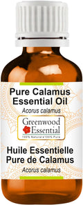 Greenwood Essential Calamus Essential Oil (Acorus Calamus) Pure | Non-Sticky | Non-Greasy | Lightweight | Men & Women | All Skin Types | Steam Distilled 5ml (0.16 oz)