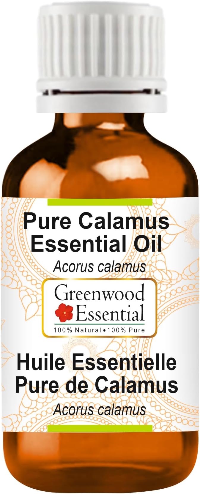 Greenwood Essential Calamus Essential Oil (Acorus Calamus) Pure | Non-Sticky | Non-Greasy | Lightweight | Men & Women | All Skin Types | Steam Distilled 5ml (0.16 oz)
