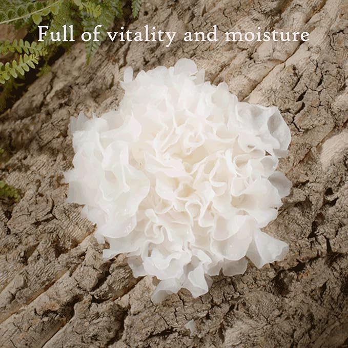 Signature Origin 100 Snow Mushroom Serum 1.69 fl.oz. 50ml, All-in-One Serum for Face with 100% Snow Mushroom extract for glass skin, Korean Skincare