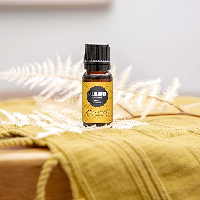 Edens Garden Goldenrod Essential Oil- 100% Pure Premium Grade, Undiluted, Natural, Therapeutic, Aromatherapy, The Best for Diffuser, Skin, Face, Humidifiers 10 ml (.33 fl oz)