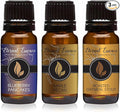 Trio (3) - Maple Pecan, Blueberry Pancakes & Roasted Oatmeal Stout - Premium Fragrance Oil Trio - 10ML