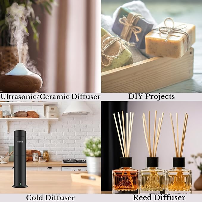 Scentia Hotel Diffuser Oil Inspired by The 5-Star Hotel Scent - 50 ml 1.69 fl oz - Fragrance Oil Blend White Tea, Cedarwood & Amber Notes for Aromatherapy Diffusers - Dream Walk, Thanksgiving Gift