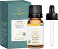 Organic Birch Essential Oil 0.34 Fl Oz, 100% Pure Birch Oil for Aromatherapy, Massage, DIY & Skin Care, 10ml Amber Bottle with Dropper