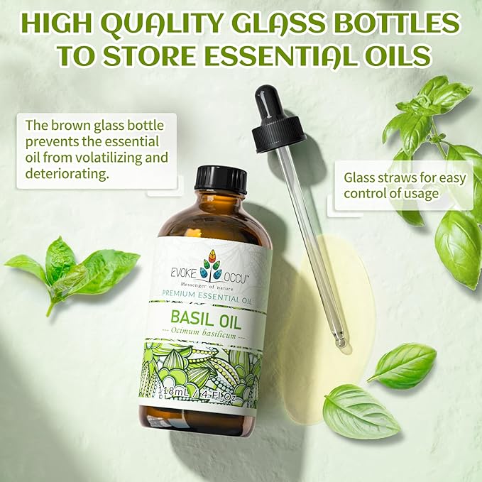 EVOKE OCCU Basil Essential Oil for Skin Massage Diffuser and Candle Making- 4 Fl Oz