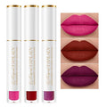 Berry Pink Red Lipstick 3Pc Long Lasting Lipsticks for Women Pigmented Smudgeproof Transferproof Vegan Cruelty Free Lip Color, A66/44/12