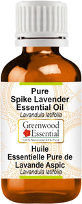 Greenwood Essential Pure Spike Lavender Essential Oil (Lavandula latifolia) Steam Distilled 100ml (3.38 oz)
