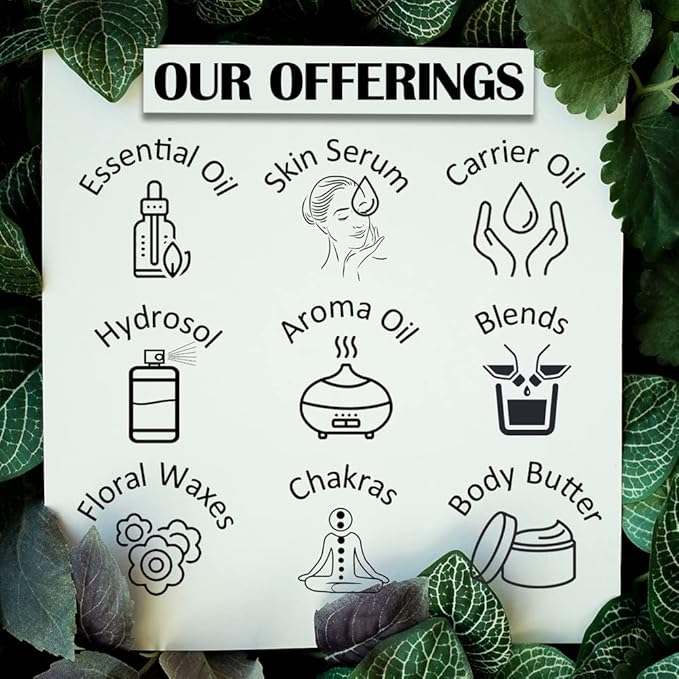 Greenwood Essential Pure Kapoor Kachari Essential Oil (Hedychium spicatum) with Glass Dropper Steam Distilled 120ml (4 oz)