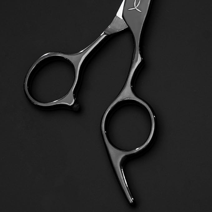 FARRAY 6.5" Professional Hair Cutting Scissors - Japanese Stainless Steel Barber Shears for Salon, Home, All Ages - Ergonomic Handle & Sharp Blades (Black)