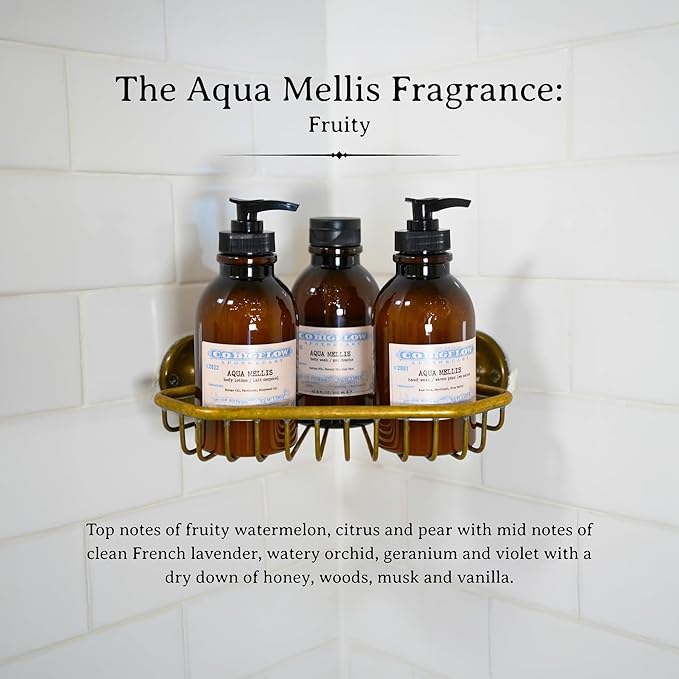 C.O. Bigelow Aqua Mellis Body Wash, Iconic Collection Moisturizing Body Wash with Coconut Oil & Aloe Vera, 10.5 Fl Oz