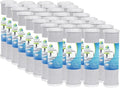 CFS – 32 Pack Carbon Block Water Filter Cartridge Compatible by CompleteFiltrationServices