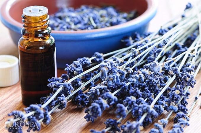 EuroSpa Aromatics Pure Eucalyptus Oil ShowerMist and Steam Room Spray, All-Natural Premium Aromatherapy Essential Oils - Lavender Infused, Duo Pack, 8oz and 2oz