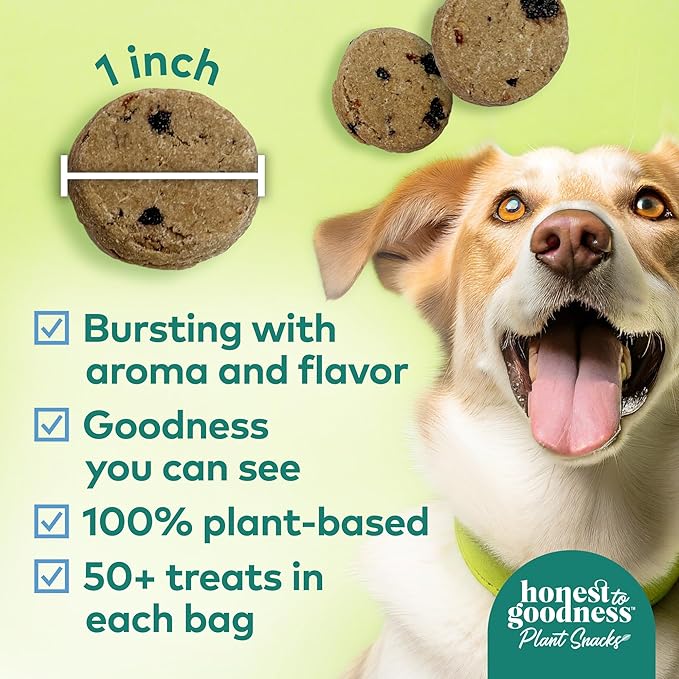 The Missing Link Hip & Joint 1 lb Powder Supplement + Honest to Goodness Blueberry Carrot Golden Years 8oz Dog Treats