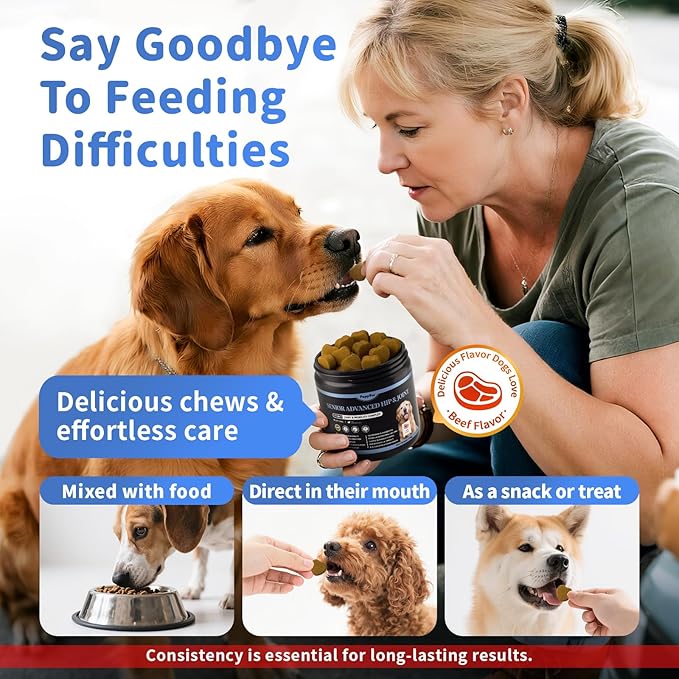 Senior Advanced Joint Supplement for Dogs – 17-in-1 Glucosamine for Dogs with Chondroitin – Hip & Joint Pain Relief Pills – Mobility Support Chews – Large & Small Breeds - Beef Flavor – 90Ct