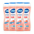 Dial Body Wash, Exfoliate & Restore Himalayan Salt, 16 Fl Oz (Pack of 4), Hydraclean Complex & Vitamin E, Gentle, Leaves Skin Feeling Nourished, Dermatologist-Tested, No Parabens & Sulfates