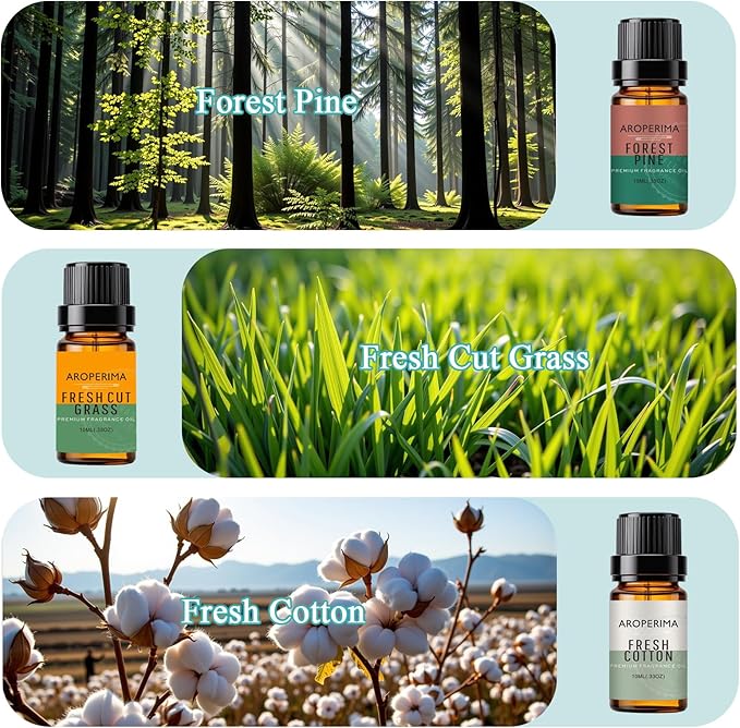 Clean Home Fragrance Essential Oil Set - Forest Pine, Fresh Cut Grass, Fresh Cotton, Ocean Breeze, Orange, Amber 6x10ML for Diffusers, Aromatherapy, Massage, Perfume, Soap Making and Candle