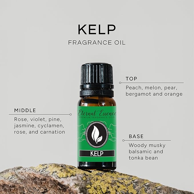 Kelp - Premium Fragrance Oil - 10ml