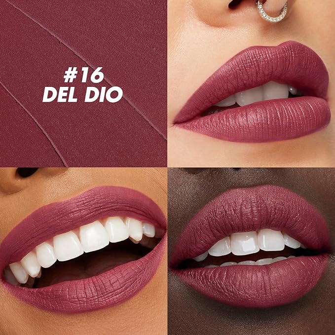 FOCALLURE Ultra Chic Lipstick,Rich Vitamin E Lip Crayon,Lightweight Color without Drying or Fading,Long Lasting Waterproof Lips Makeup,DEL RIO