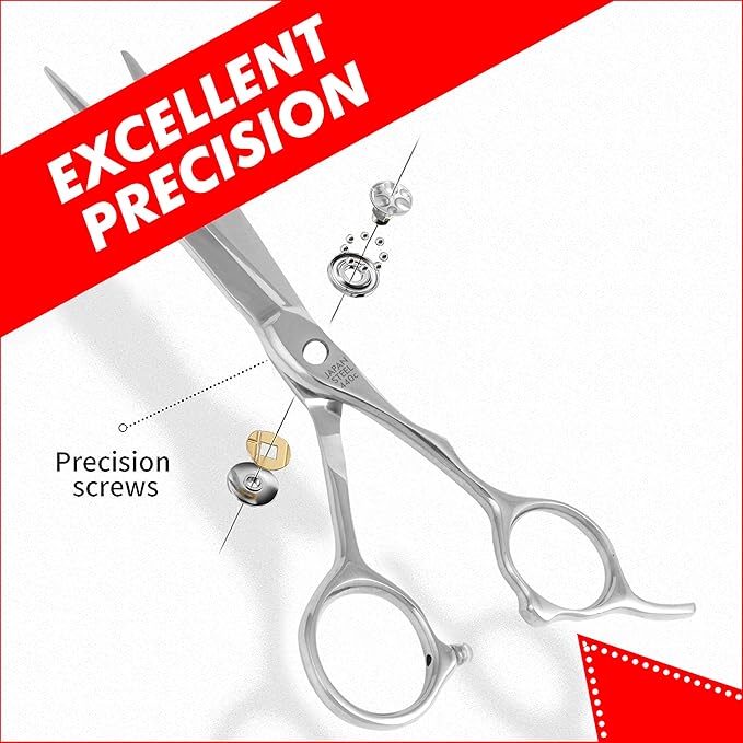 Professional Series - 6.25" Arc Convex Edge Blade With Sharpness Hair Cutting Scissors 440C Japanese Steel, Featuring Long-Lasting Sharpness Silver