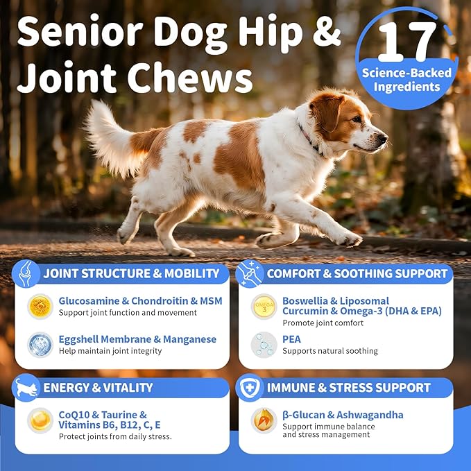 Senior Advanced Joint Supplement for Dogs – 17-in-1 Glucosamine for Dogs with Chondroitin – Hip & Joint Pain Relief Pills – Mobility Support Chews – Large & Small Breeds - Beef Flavor – 90Ct