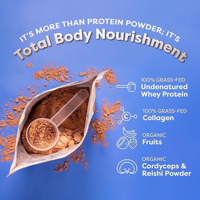 FlavCity Grass Fed Whey Protein Powder - Variety Pack - 25g Protein & 10g Collagen - 5 Single Serve Packets - Made with Organic Reishi & Cordyceps - Gluten Free & No Added Sugars