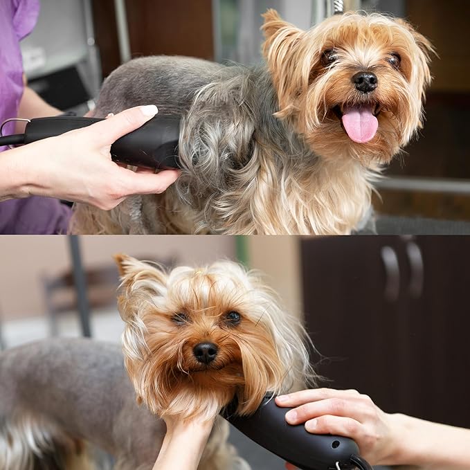 Detachable A Series 3 Wide Blade Dog Grooming Cut Length 1/2" / 13mm Japanese Carbonized Steel Dog Grooming Blades (Compatible A5 Series Clippers for Dogs Horses(B3FW)
