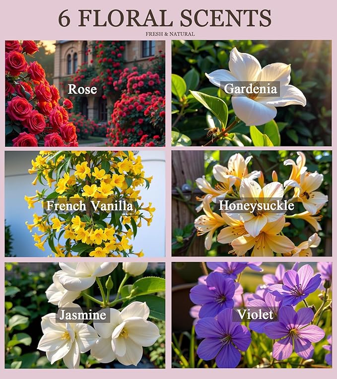 Floral Fragrance Essential Oil Set - Rose, French Vanilla, Gardenia, Honeysuckle, Jasmine, Violet 6x10ML for Diffusers, Aromatherapy, Massage, Perfume, Soap Making and Candle