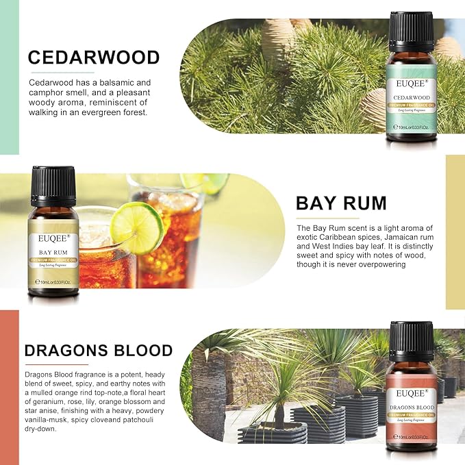 EUQEE 6PCS Fragrance Oils for Men, Men's Pubs Gift Set Premium Fragrance Oils -10ml-Leather, Sweet Tobacco（New Name-Honeyed Haze）, Dragons Blood, Sandalwood, Bay Rum, Cedarwood (Men's Pubs)