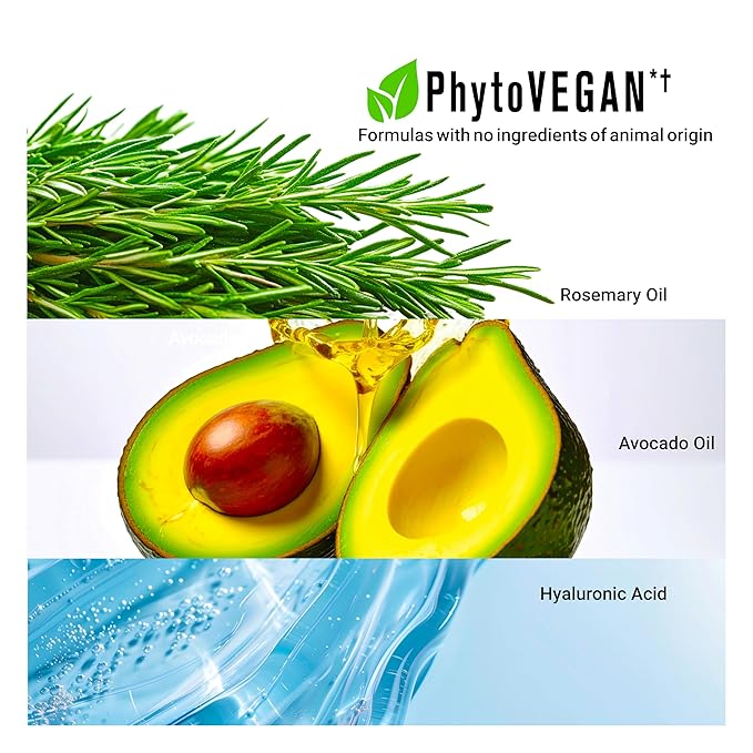 Color Defense Hair Oil Capsules – PROCURE Colour Protect Defense – Color Protection Vegan Leave-In Serum for Color-Treated, Dry & Damaged Hair w/ Rosemary, Argan, Ceramides & Hyaluronic Acid 15 Ct