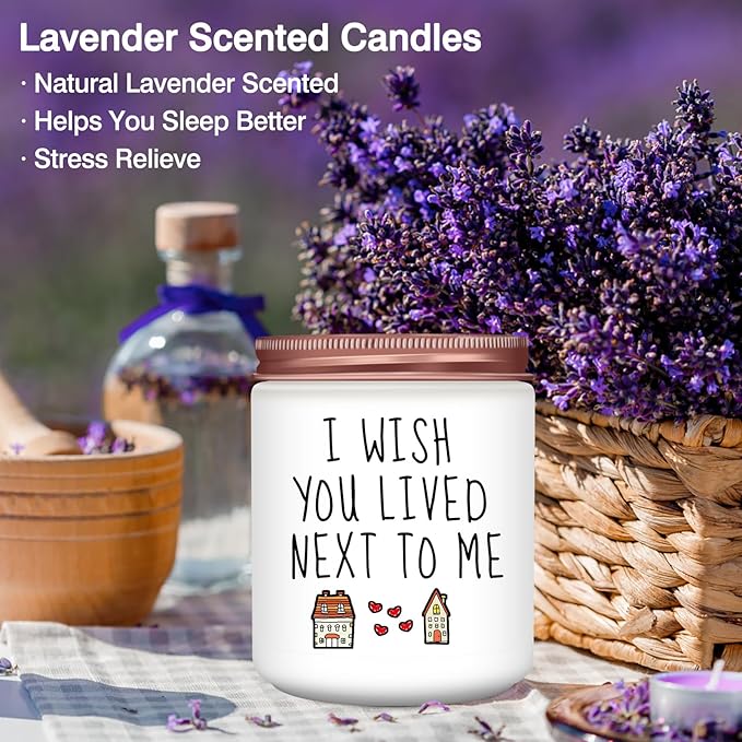 Homsolver Sister Gifts, Birthday Gifts for Sister, Unique Friendship Gift for Sisters, Besties, BFF, Funny Sister Lavender Scented Candles