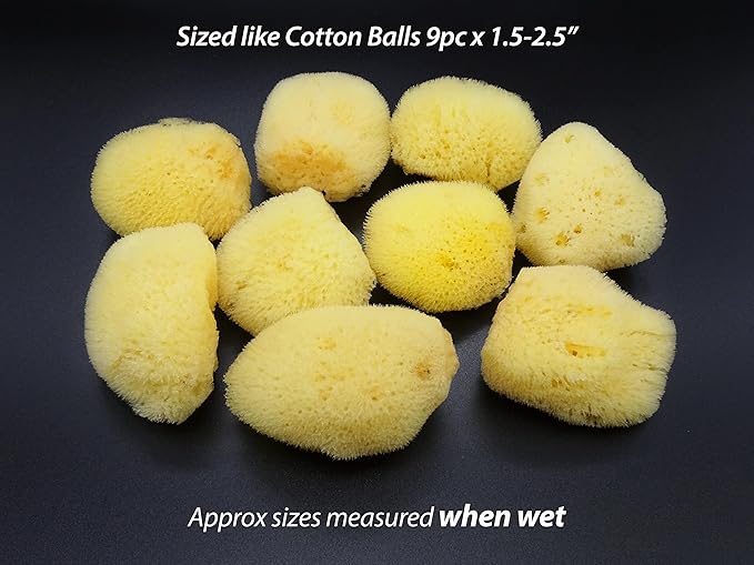 Natural Sea Silk Sponges 12pk: Size 9pc x1.5-2.5" 3pc x 2.5"-3", Like Cotton Balls, for Cosmetic Use, Makeup Application & Removal, Face & Eye Cleaning, with Luxury Gift Bag by Constantia Beauty®