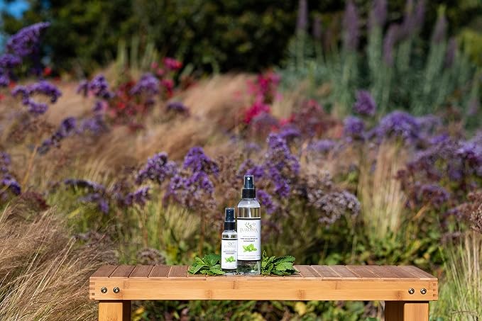 EuroSpa Aromatics Pure Eucalyptus Oil ShowerMist and Steam Room Spray, All-Natural Premium Aromatherapy Essential Oils - Menthol Infused, Duo Pack, 8oz and 2oz