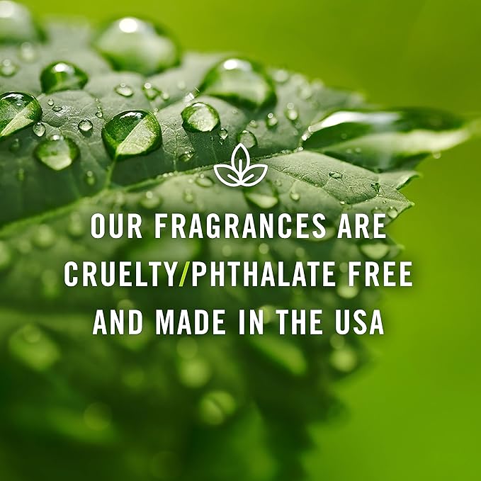 P&J Fragrance Oil - Ocean Breeze Scent, 30ml