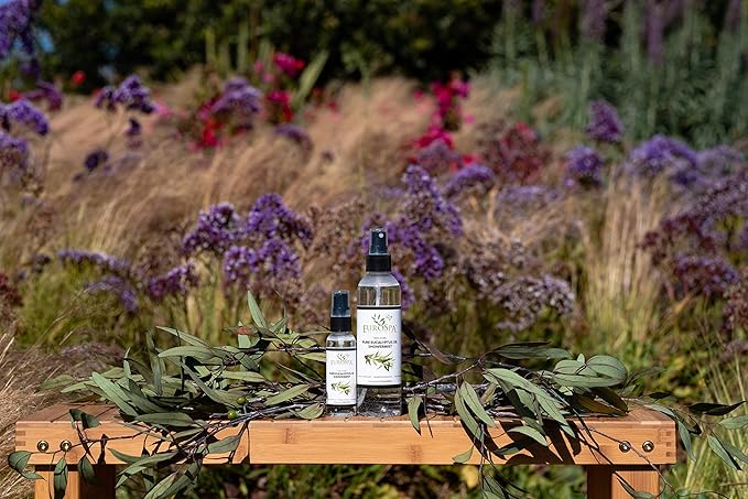 EuroSpa Aromatics Pure Eucalyptus Oil ShowerMist and Steam Room Spray, All-Natural Premium Aromatherapy Essential Oils - Pure Eucalyptus, 8oz