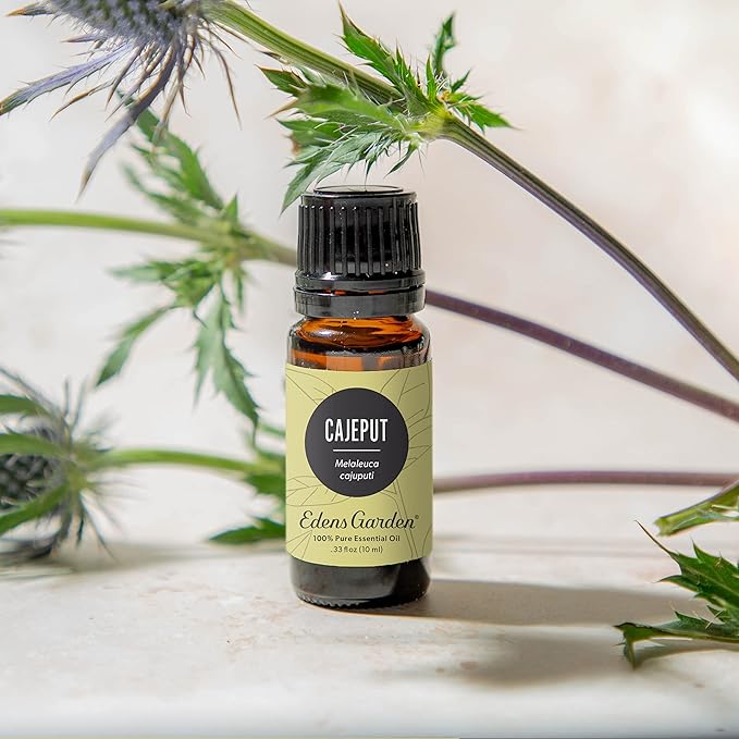 Edens Garden Cajeput Essential Oil, 100% Pure Therapeutic Grade (Undiluted Natural/Homeopathic Aromatherapy Scented Essential Oil Singles) 10 ml