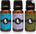 Trio (3) - Eucalyptus, Lavender Chamomile & Frankincense - Premium Fragrance Oil Trio - 10ML
