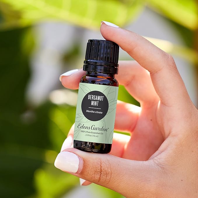 Edens Garden Bergamot Mint Essential Oil- 100% Pure Premium Grade, Undiluted, Natural, Therapeutic, Aromatherapy, The Best for Diffuser, Skin, Candle, Laundry 30 ml (1 fl oz)