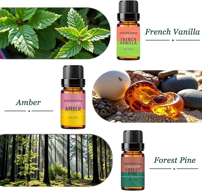 WOODSHOP Fragrance Essential Oil Set - French Vanilla, Amber, Forest Pine, Fresh Cotton, Fresh Cut Grass, Sandalwood 6x10ML for Diffusers, Massage, Perfume, Soap Making and Candle