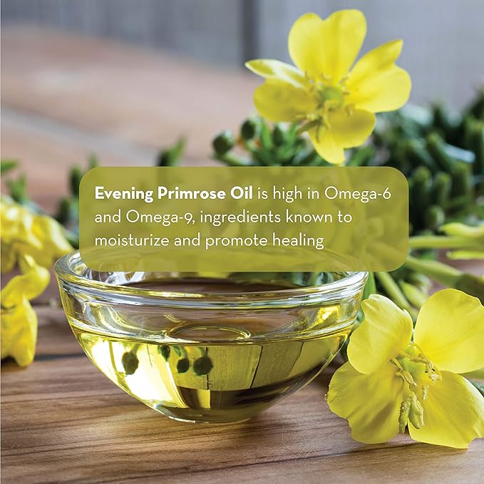 Pure Body Naturals Evening Primrose Oil - Liquid, not Capsules - for Face, Skin and Hair, 4 fl oz