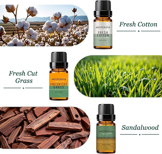 WOODSHOP Fragrance Essential Oil Set - French Vanilla, Amber, Forest Pine, Fresh Cotton, Fresh Cut Grass, Sandalwood 6x10ML for Diffusers, Massage, Perfume, Soap Making and Candle