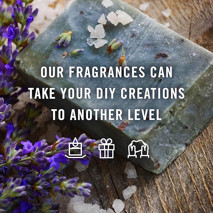 P&J Trading Fragrance Oil Cookies & Cakes Set | Candle Scents for Candle Making, Freshie Scent, Soap Making Supplies, Diffuser Oil Scents