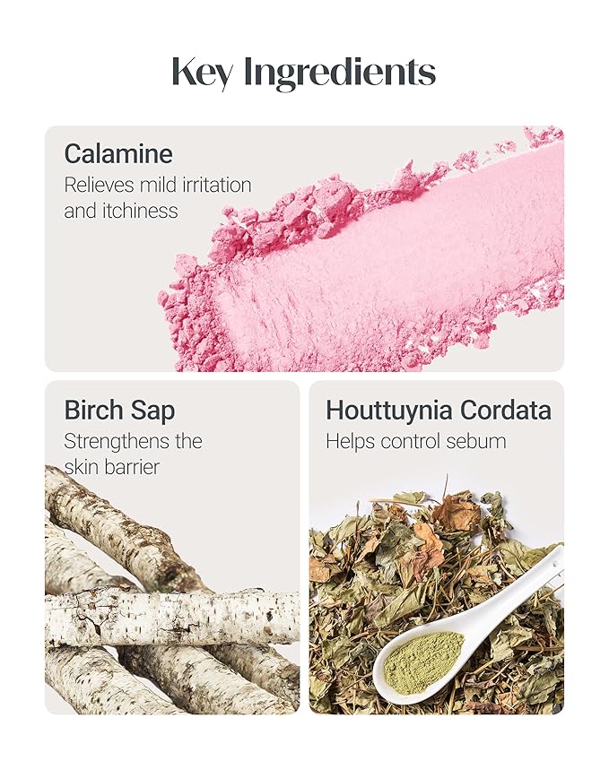 THESAEM Saemmul Perfect Pore Pink Pact - Makeup Finishing Pressed Powder for Sebum Control and Pore Minimization, Soothes Sensitive Skin with Calamine, Setting Powder, Clumps Free 12g. 2 Pack