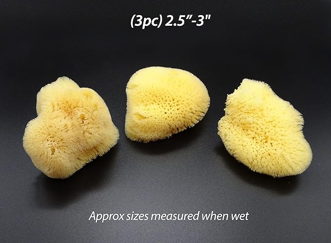 Natural Sea Silk Sponges 12pk: Size 9pc x1.5-2.5" 3pc x 2.5"-3", Like Cotton Balls, for Cosmetic Use, Makeup Application & Removal, Face & Eye Cleaning, with Luxury Gift Bag by Constantia Beauty®