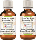Greenwood Essential Tea Tree Essential Oil (Melaleuca alternifolia) Steam Distilled (Pack of Two) 100ml X 2 (6.76 oz)