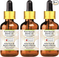 Greenwood Essential Pure Apricot Kernel Oil (Prunus armeniaca) with Glass Dropper Cold Pressed (Pack Of Three) 100ml X 3 (10 oz)